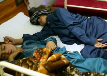الحالة الغامضة لـ (أطفال الطاقة الشمسية) يعيشون حياة طبيعية في النهار ويتوقفون عن الحركة ليلاً