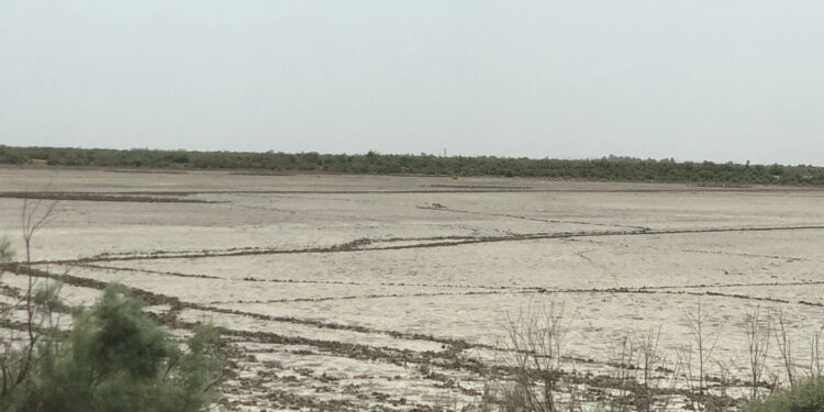 هور “العودة” جفاف 100%