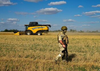 روسيا تضع 5 شروط لتمــديد (صفقة الحبوب) والبيت الأبيض يحذر