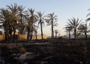 ديالى .. “حريق مجهول” يلتهم اكثر من 100 دونم من البساتين