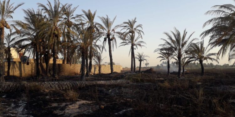 ديالى .. “حريق مجهول” يلتهم اكثر من 100 دونم من البساتين