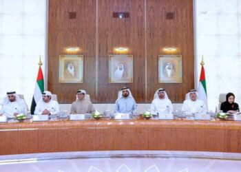 الإمارات تقرر انشاء وزارة جديدة للاستثمار