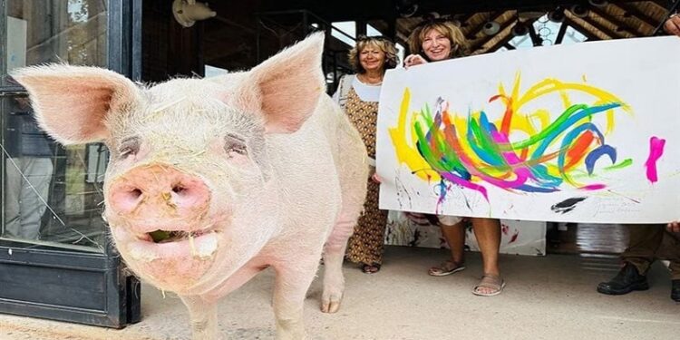 بيع لوحات فنية بأكثر من مليون $ “رسمها خنزير”