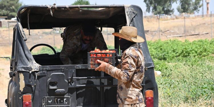 صور لمزارع جهاز مكافحة الإرهاب