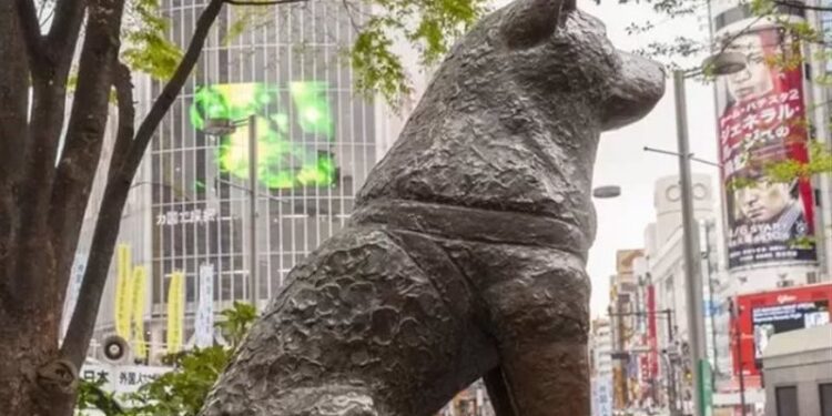 مئوية الكلب الأكثر إخلاصاً “هاتشيكو”