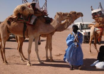 أجيال جديدة من “الطوارق”