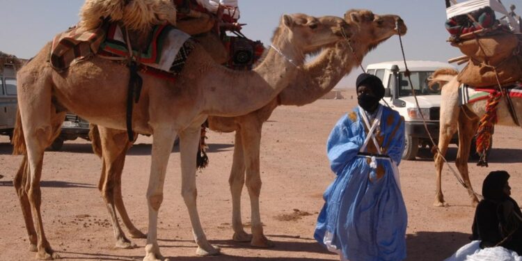 أجيال جديدة من “الطوارق”