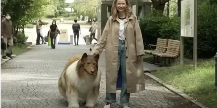 مواطن ياباني يحقق حلمه بــ”تحويل نفسه إلى كلب”