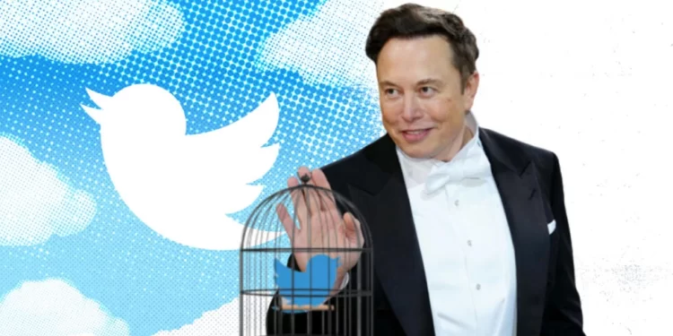 إيلون ماسك .. ” قريبا سنودع كل الطيور”