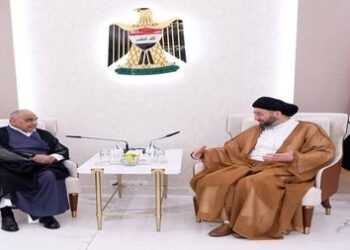 الحكيم يلتقي رئيس الوزراء الاسبق عادل عبد المهدي