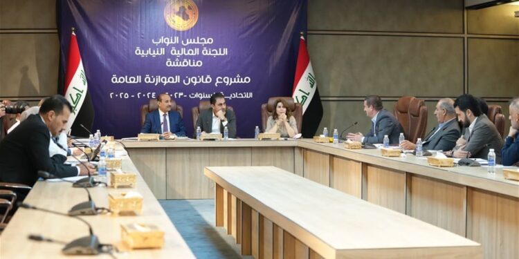 الحكومة بصدد الطعــن بــ “مواد جديدة من بنود الموازنة”