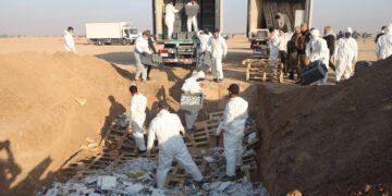 الاعلان عن اتلاف قرابة 200 كغم من المواد المخدرة