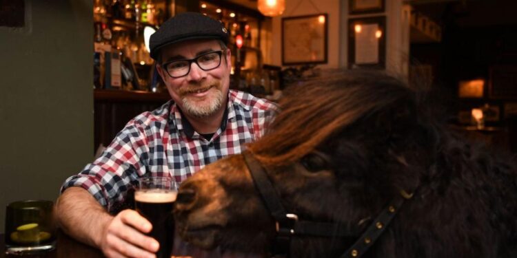 حصان اسكتلندي “يرتاد الحانة يومياً و يحتسي الجعة”