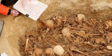 اكتشاف قرية من العصر الحجري في فرنسا
