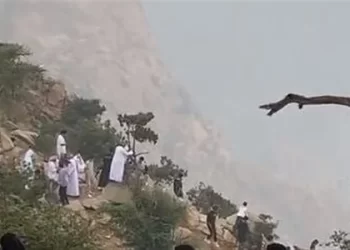 امرأة سعودية تطارد قردا اختطف رضيعها