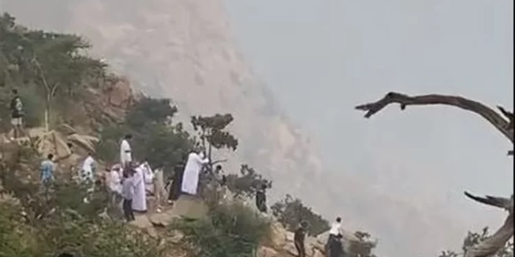 امرأة سعودية تطارد قردا اختطف رضيعها