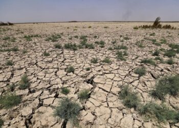 الجفاف يصيب 70% من الأراضي الزراعية بالعراق