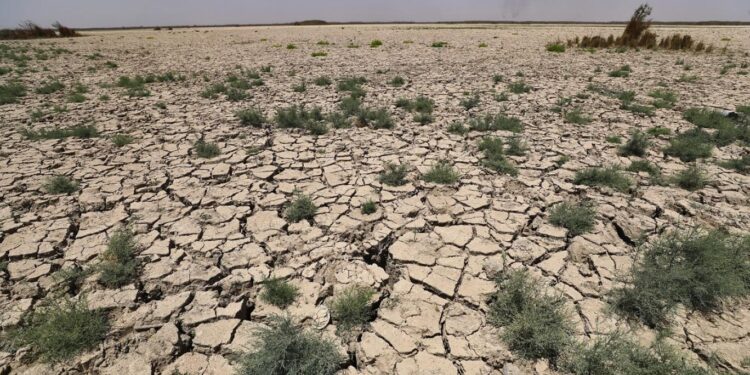 الجفاف يصيب 70% من الأراضي الزراعية بالعراق