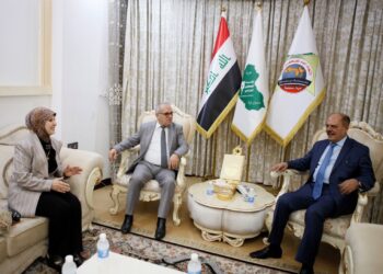 لجنة الثقافة تبحث آلية توزيع المكافات التشجيعية وتثني على دور نقابة الصحفيين ونقيبها