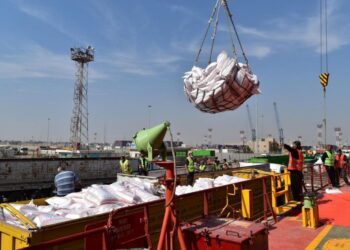 العراق يستورد أكثر من 2000 طن من مادة الرز خلال شهر