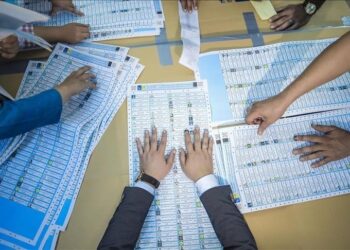 4 وزراء و6 محافظين و18 نائباً يقودون تحالفات انتخابية