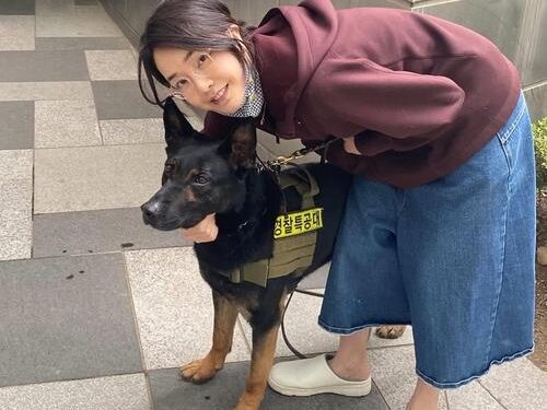 كوريا الجنوبية.. السيدة الأولى تتحرك لــ”منع أكل لحوم الكلاب”