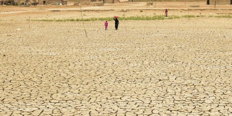 تحذير .. هجرة جماعية جرّاء الجفاف في الفرات الأوسط