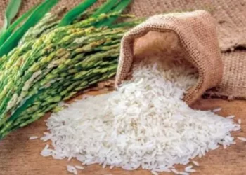 كيف وصل الأرز إلى العرب ؟