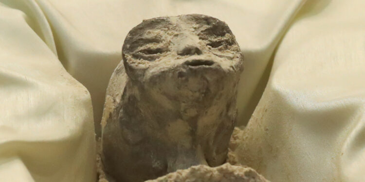 المكسيك .. بقايا جثث كائنات غريبة ليست ذات “أصل بشري” وحمضها النووي غامض