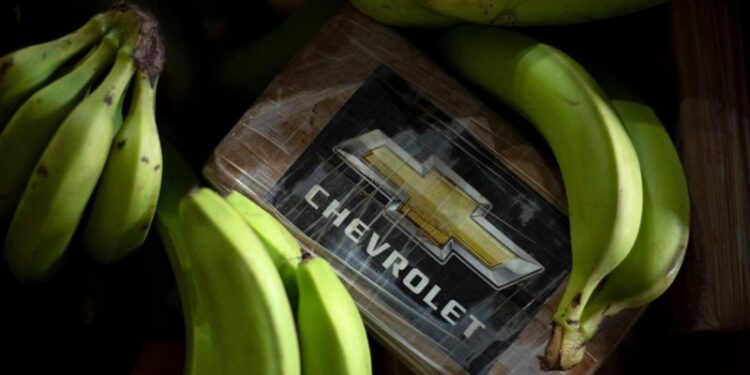 ضبط كمية كبيرة من “الكوكايين مخبأة في شحنة موز” في طريقها لألمانيا