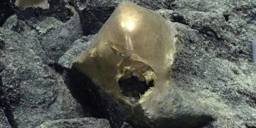 امريكا .. العثور على جسم ذهبي غريب في المحيط يحير العلماء