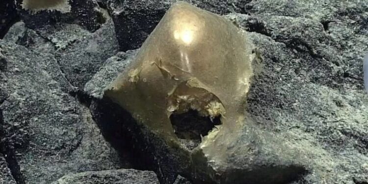 امريكا .. العثور على جسم ذهبي غريب في المحيط يحير العلماء