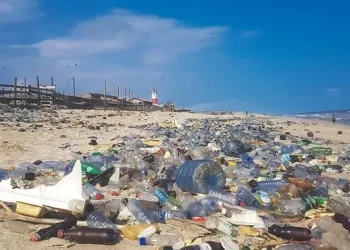 تحذير من كارثة “تلوث بلاستيكي” في العراق