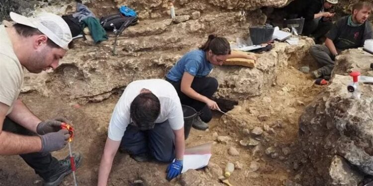 إسبانيا .. العثور على حفرية لــ”أشباه البشر” تعود إلى العصر الجليدي