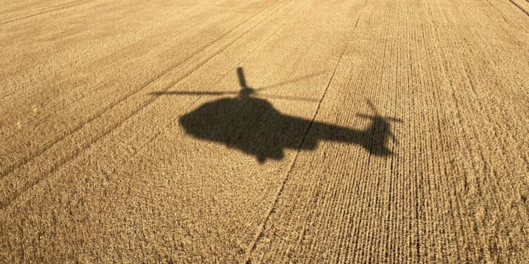 أوكرانيا تزرع 3 ملايين فدان من المحاصيل الشتوية المتوقع زراعتها