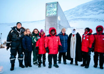 سباق بين الدول لمواجهة آثـــار التغير المناخي