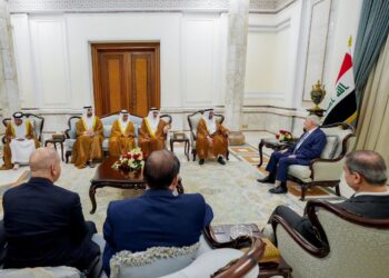رئيس الجمهورية يستقبل وزير الدولة الإماراتي