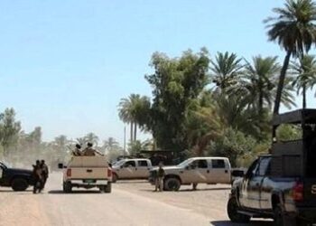 ديالى .. الشروع بعملية امنية في بساتين حوض الوقف