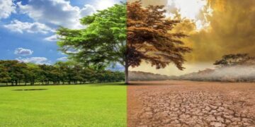 “الانهيـــار المناخي” ,, وهل وصلنا إلى نقطة اللاعودة ؟