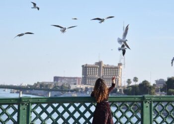 بـــغداد عاصمة للمرأة العربية