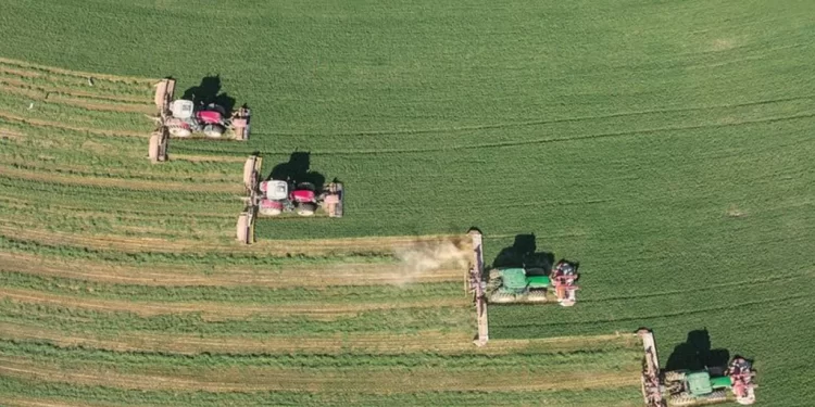 صفقة إماراتية لـ “الاستحواذ” على نصف مليون فدان في مصـــر