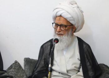 المرجع بشير النجفي ينضم للمرجع السيستاني ويدعو شعوب العالم إلى الوقوف مع فلسطين