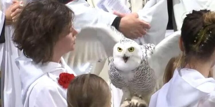 نيويورك ..  قداس  يباركون  لــ (إبل وبوم وكلاب وثعبان ضخم)