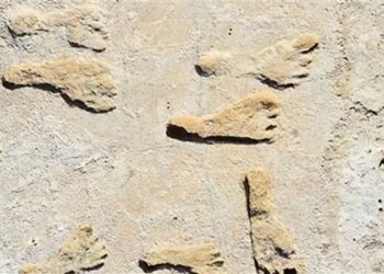 العثور على آثار أقدام بشرية عمرها أكثــر من 20 ألف عام