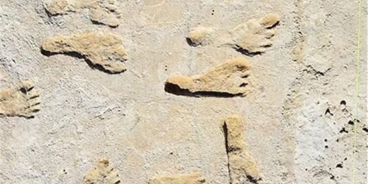 العثور على آثار أقدام بشرية عمرها أكثــر من 20 ألف عام