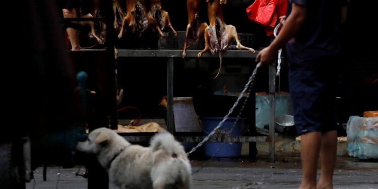 كوريا الجنوبية .. توافق سياسي “غير مسبوق” لوقف تقليد يعود لقرون