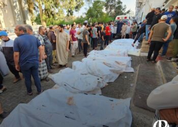 300 شهيد في غزة خلال الـ 24 ساعة الماضية