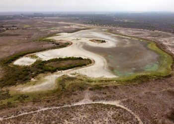 تخصيص مبلغ “تريليون دينار” لمواجهة التغيرات المناخية وزراعة الأشجار في العراق