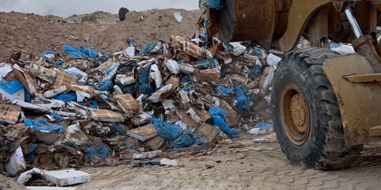 إتلاف (54) طن) من مادة الاسماك المجمد في منفذ ميناء ام قصر الشمالي