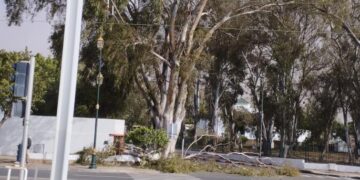 المغرب .. رياح قوية تتسبب بحالة من الهلع